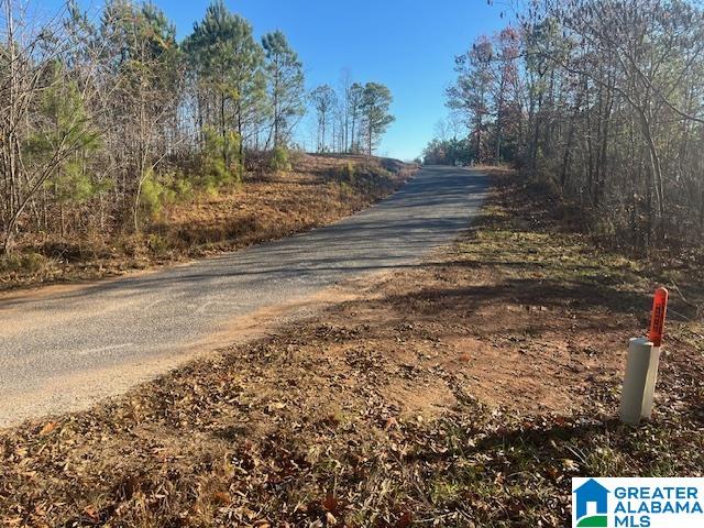 Tablee Lane, Unit 17 65 Ashland, AL 36251 - Photo 6 of 7