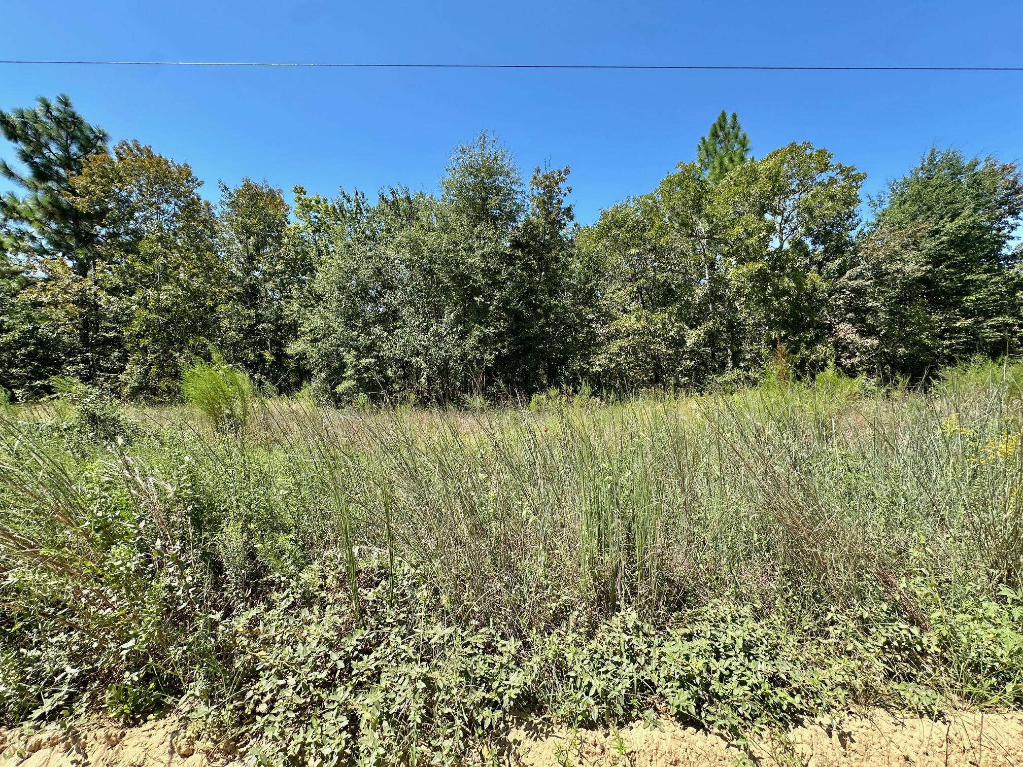 Lot 11 Marie Vann Road Waynesboro, GA 30830 - Photo 7 of 16 IMG_4412