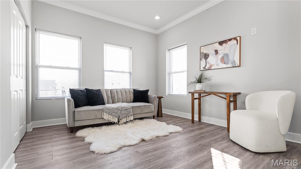 1239 Clara Avenue St. Louis, MO 63112 - Photo 8 of 17