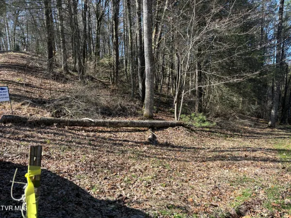 $40,000 | 445 Possum Valley Road, Mountain City, TN 37683