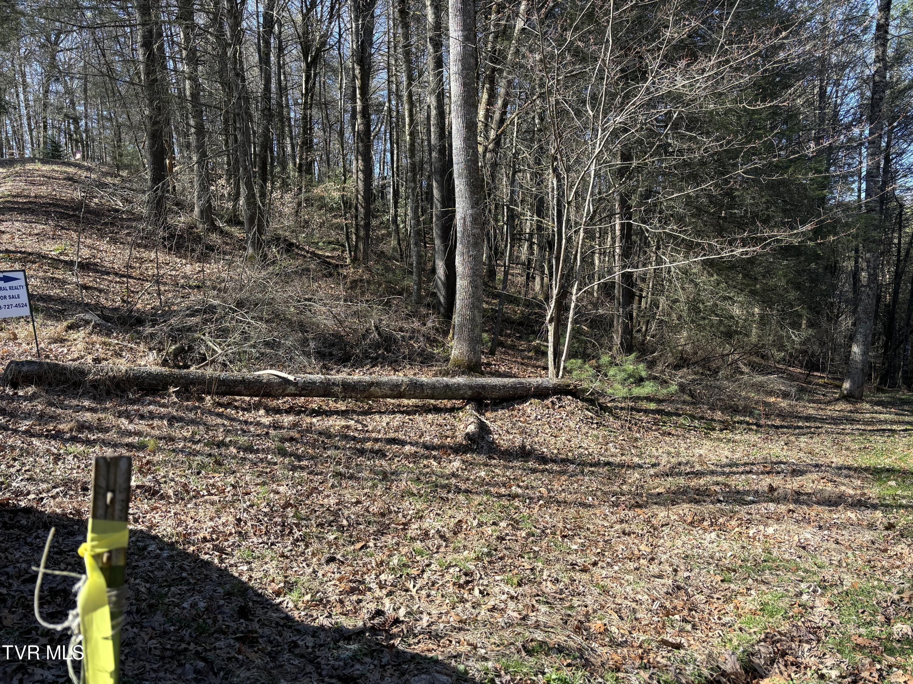 445 Possum Valley Road Mountain City, TN 37683 - Photo 1 of 5 IMG_3274 - Copy