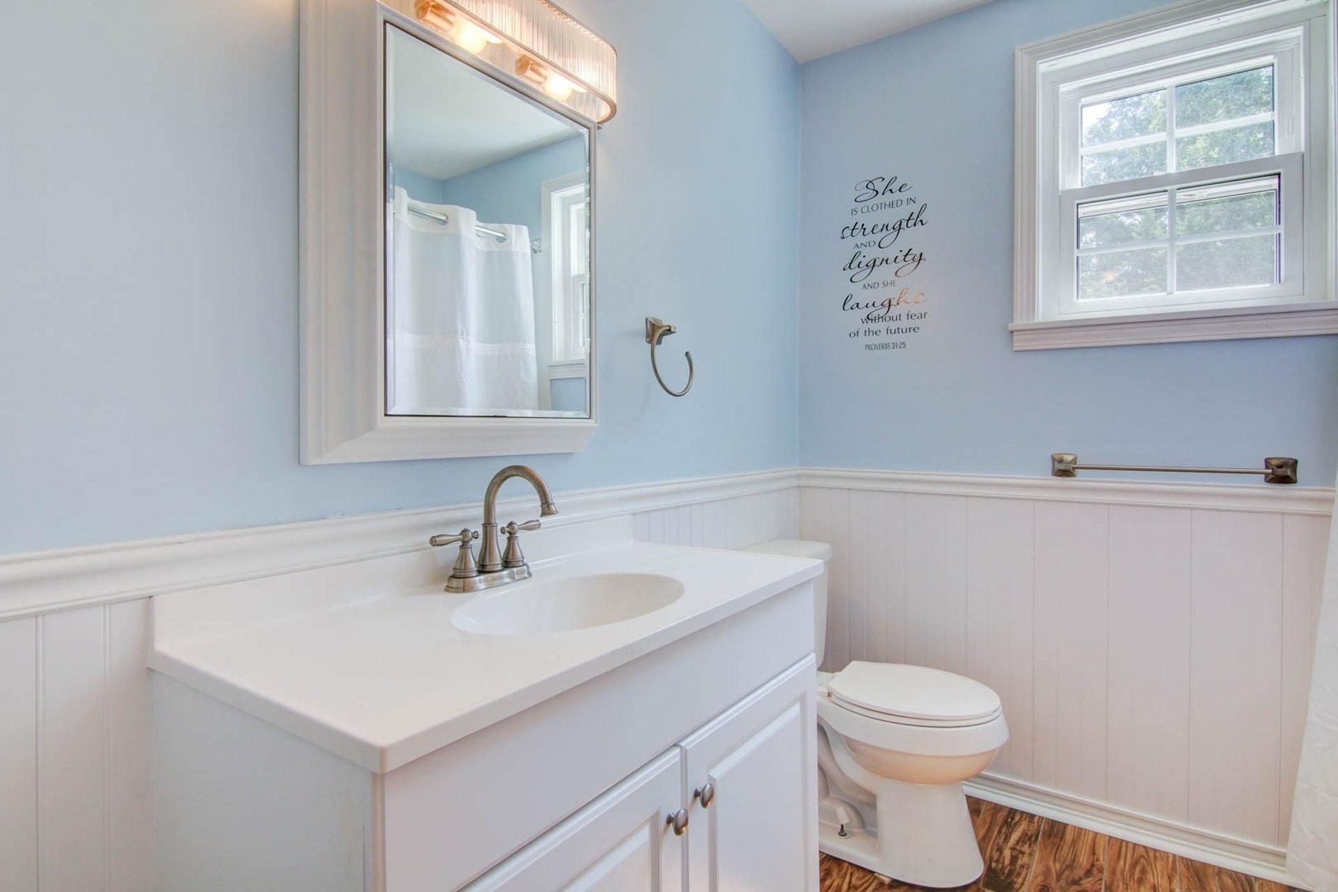 580 Mt Pleasant Church Road Fincastle, VA 24090 - Photo 18 of 39 a bathroom with a sink toilet and mirror