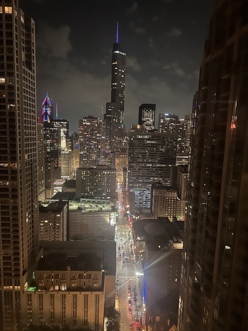 30 East Huron Street, Unit 4304 Chicago, IL 60611 - Photo 22 of 24