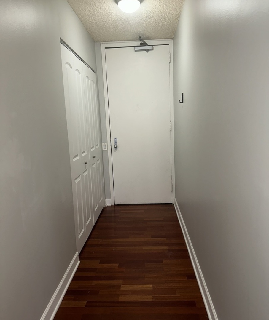 30 East Huron Street, Unit 4304 Chicago, IL 60611 - Photo 3 of 24