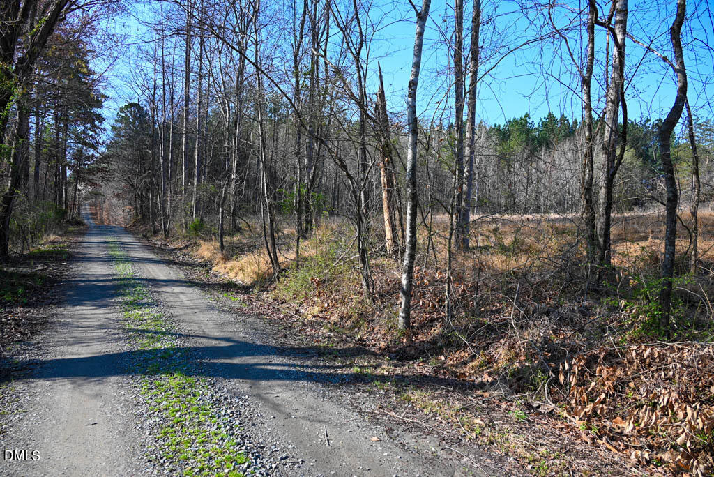 0 K Fork Road Madison, NC 27025 - Photo 34 of 36 a view of a yard with plants and trees
