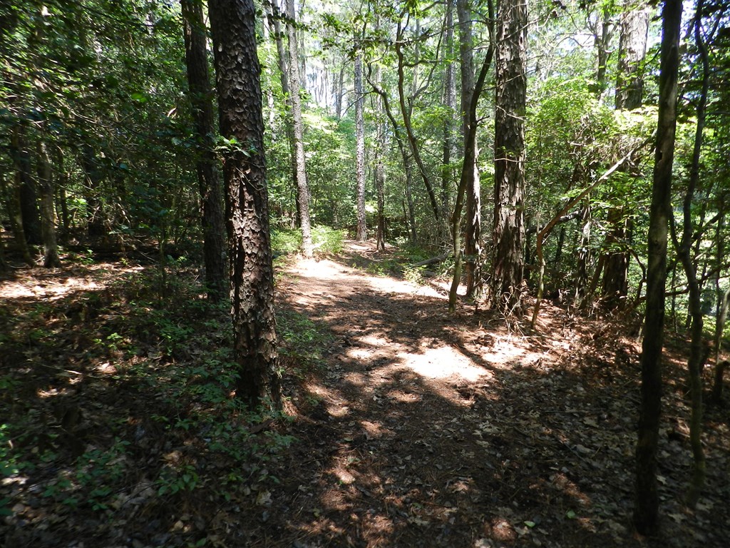 Lot B6 Saltworks Road, Unit B6 Exmore, VA 23350 - Photo 17 of 28