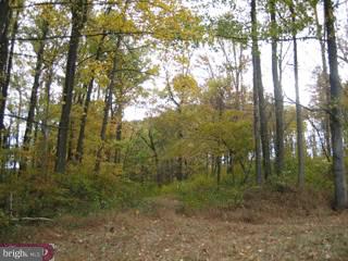 0 Springhaven Road, Unit 1 Newmanstown, PA 17073 - Photo 1 of 4 Gallery Image 1