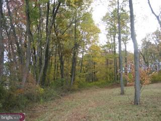 0 Springhaven Road, Unit 1 Newmanstown, PA 17073 - Photo 2 of 4 Gallery Image 2