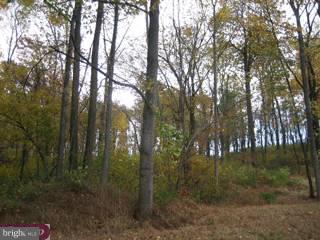 0 Springhaven Road, Unit 1 Newmanstown, PA 17073 - Photo 3 of 4 Gallery Image 3