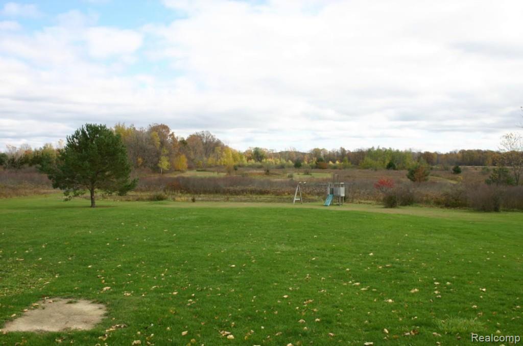 1376 Braidwood Road Memphis, MI 48041 - Photo 6 of 17 yard4.jpg