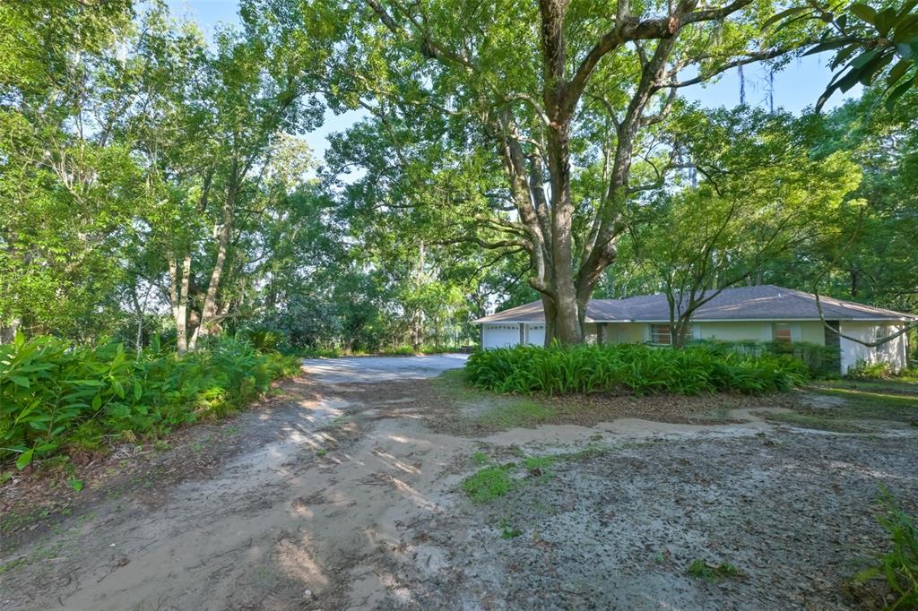 36625 Lake Pasadena Road Dade City, FL 33525 - Photo 6 of 55