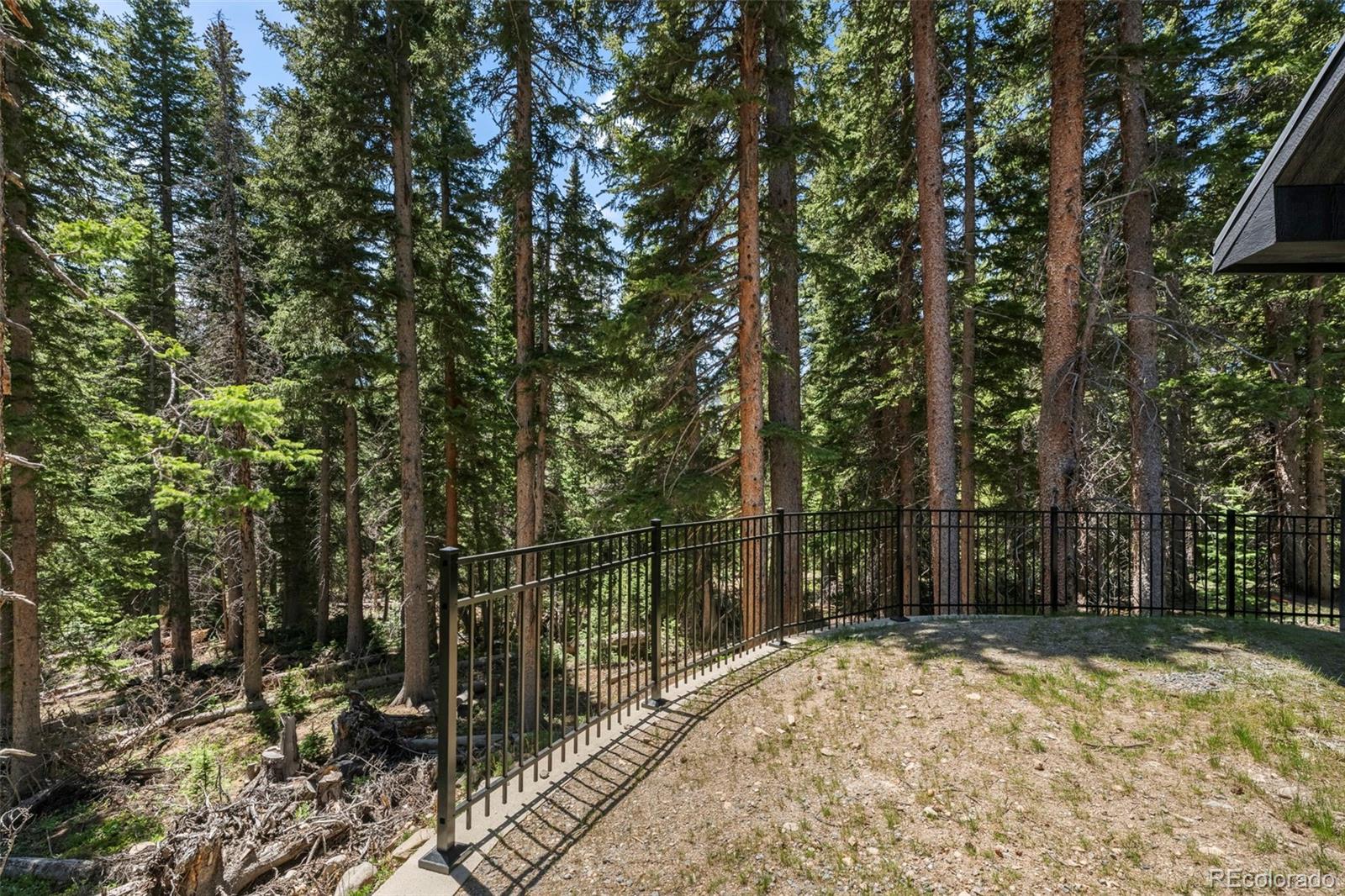 46 Silver Creek Road Idaho Springs, CO 80452 - Photo 32 of 41