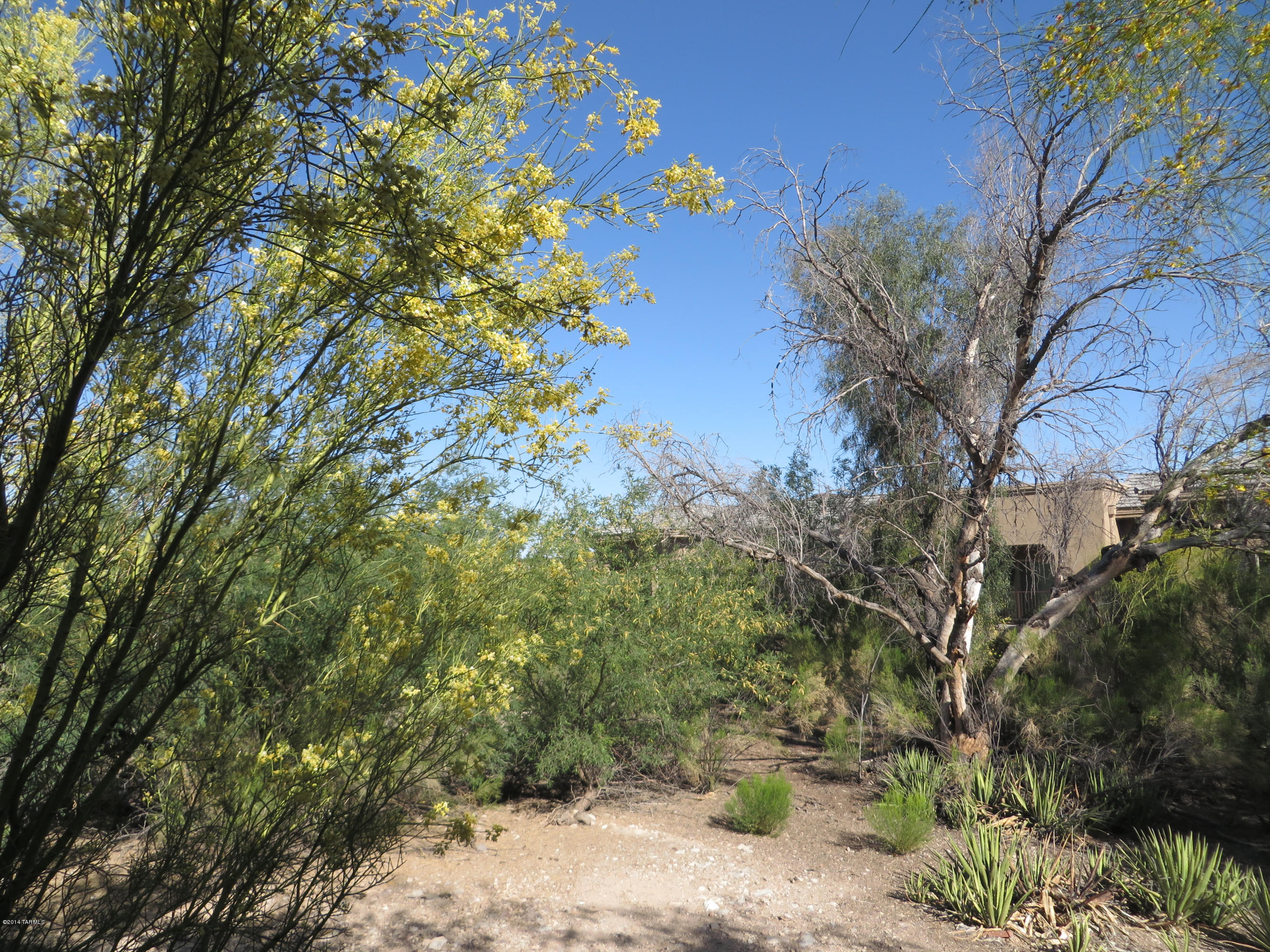 2785 West Anklam Road, Unit F Tucson, AZ 85745 - Photo 27 of 37