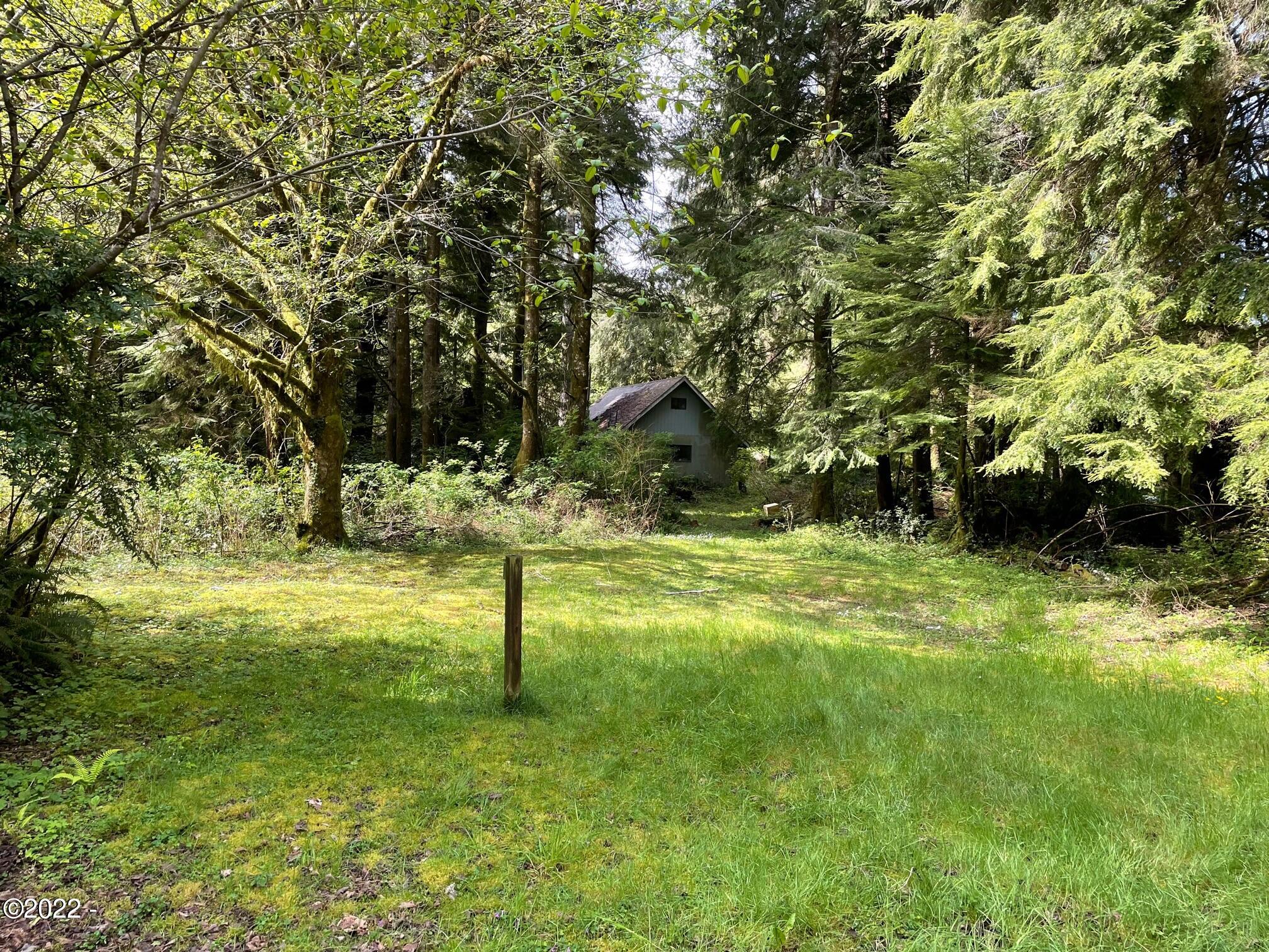 121 East Castle Road Waldport, OR 97394 - Photo 7 of 25 Meadow
