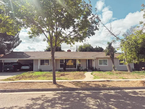 a view of a house with a large tree in front of it