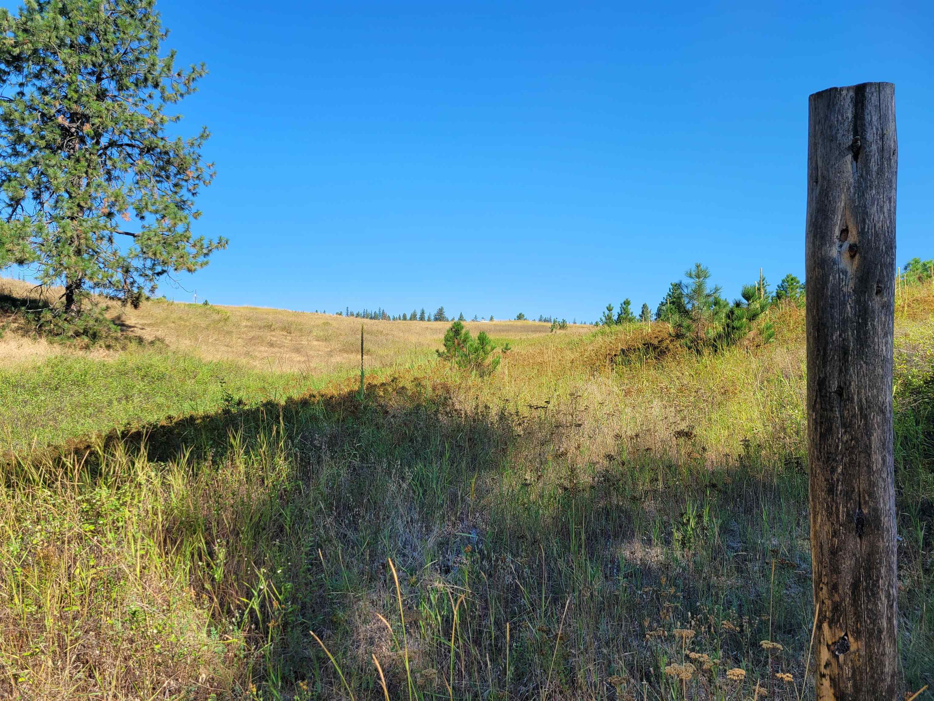 5099J Allen Road Springdale, WA 99173 - Photo 4 of 37