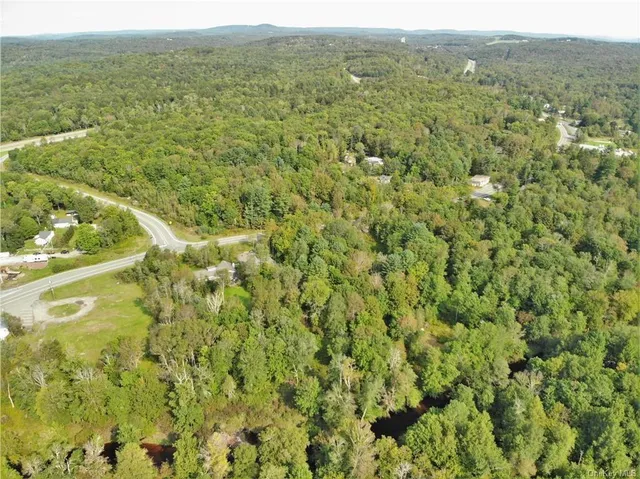 $449,700 | 17 And Old Rt 17, Harris, NY 12742