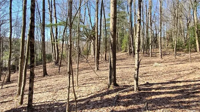 $449,700 | 17 And Old Rt 17, Harris, NY 12742