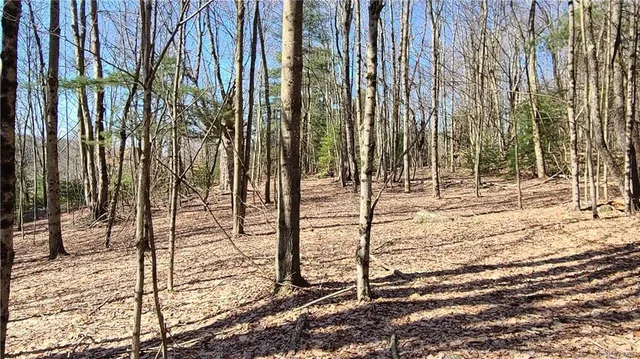 $449,700 | 17 And Old Rt 17, Harris, NY 12742