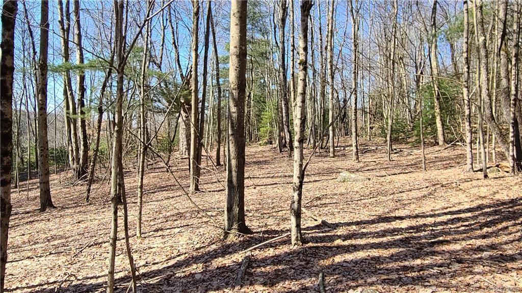 17 And Old Rt 17 Harris, NY 12742 - Photo 16 of 19 View of nature