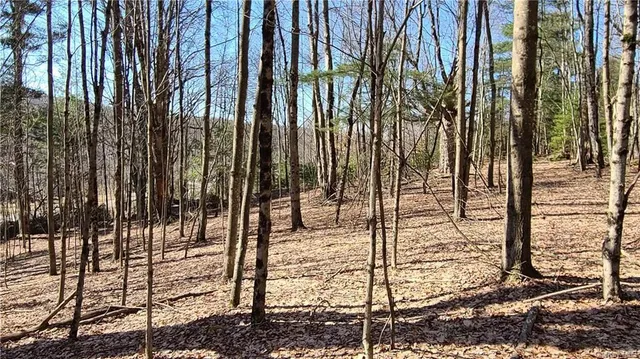 $449,700 | 17 And Old Rt 17, Harris, NY 12742