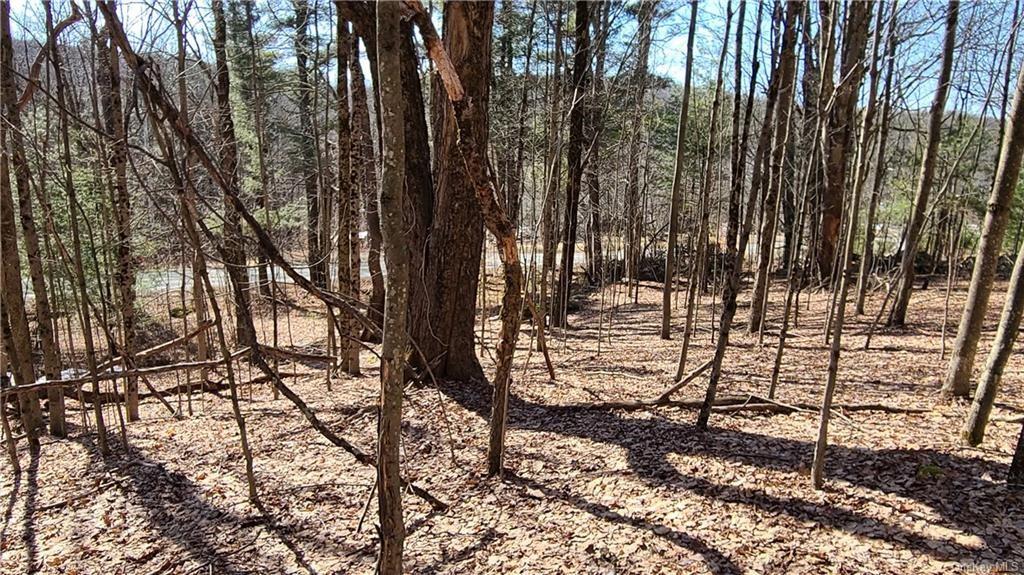 17 And Old Rt 17 Harris, NY 12742 - Photo 18 of 19 View of landscape