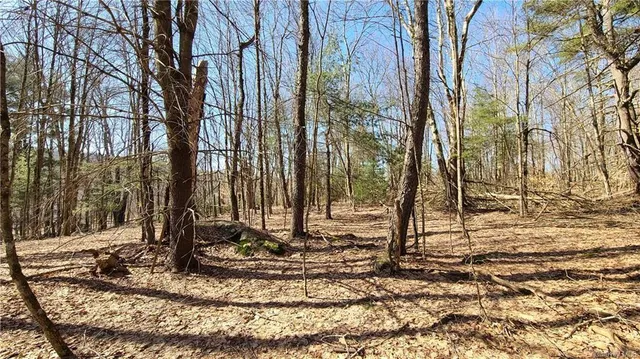 $449,700 | 17 And Old Rt 17, Harris, NY 12742