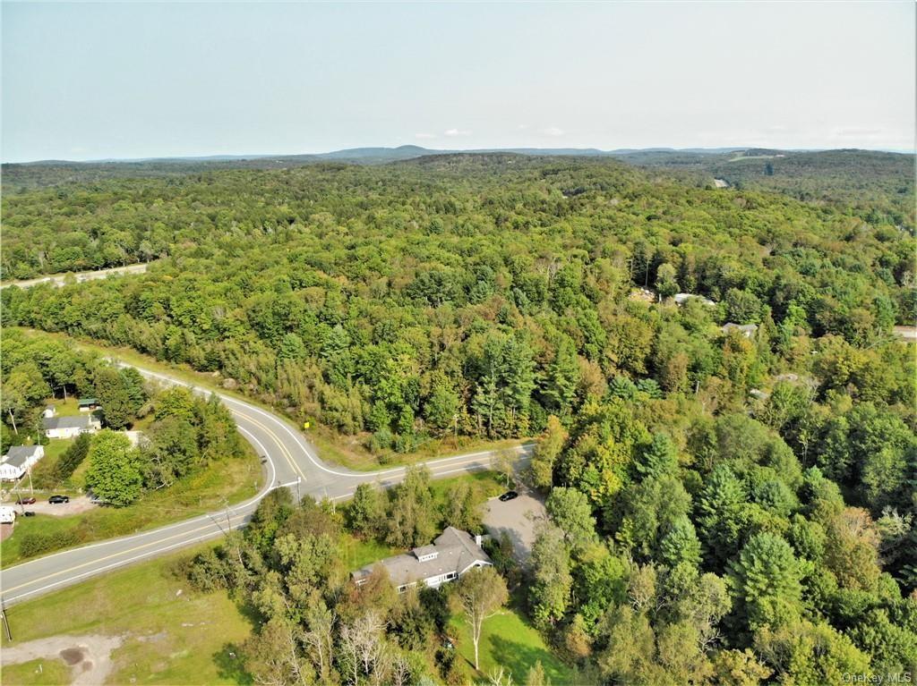 17 And Old Rt 17 Harris, NY 12742 - Photo 6 of 19 Drone / aerial view