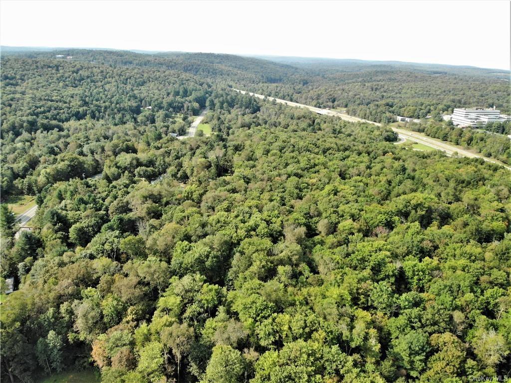 17 And Old Rt 17 Harris, NY 12742 - Photo 8 of 19