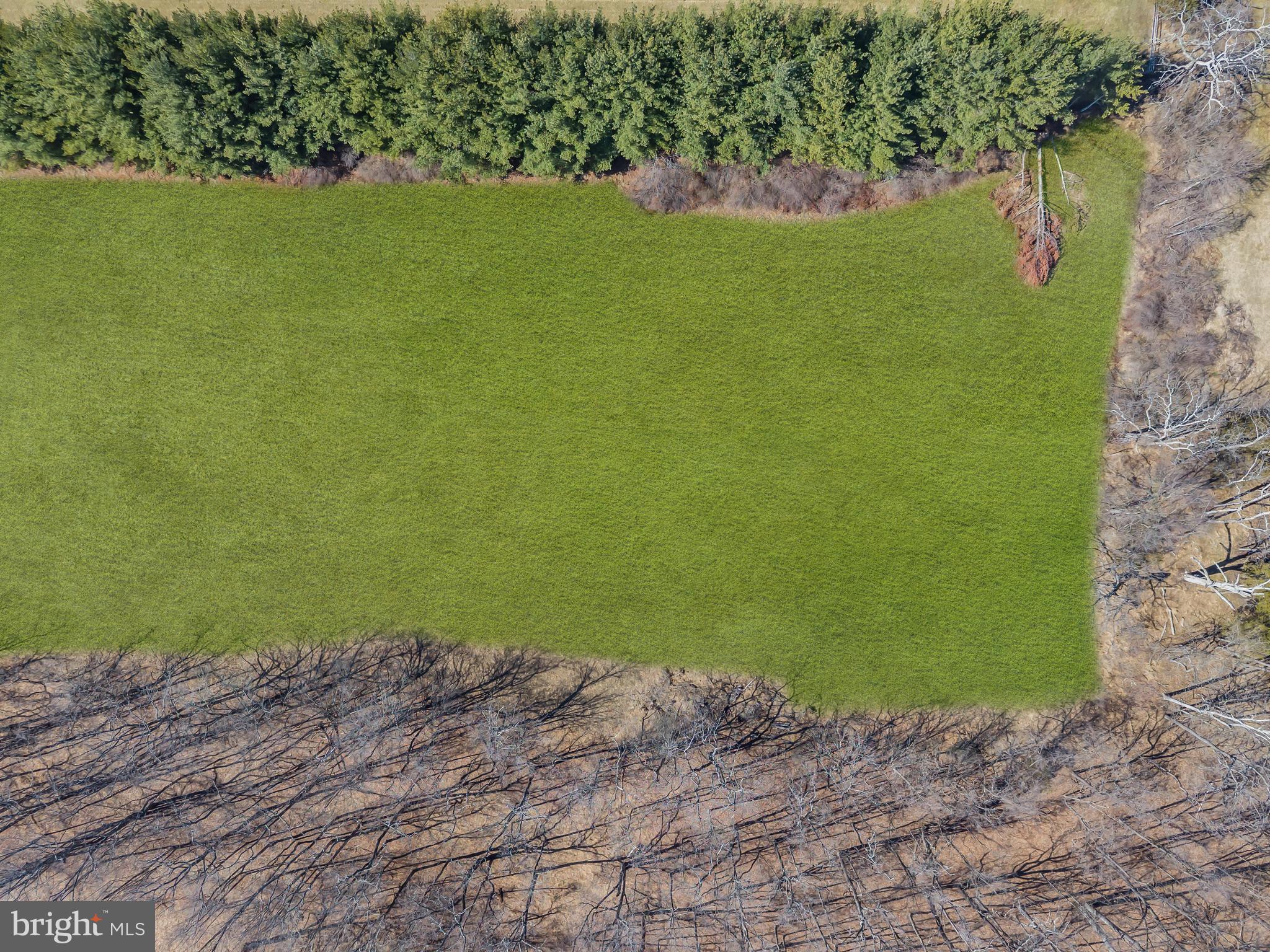 309 Pennington Harbourton Road Pennington, NJ 08534 - Photo 64 of 67 a view of a field with an outdoor space