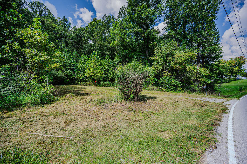 228 Belle Point Road Beattyville, KY 41311 - Photo 54 of 55 DSC_1580