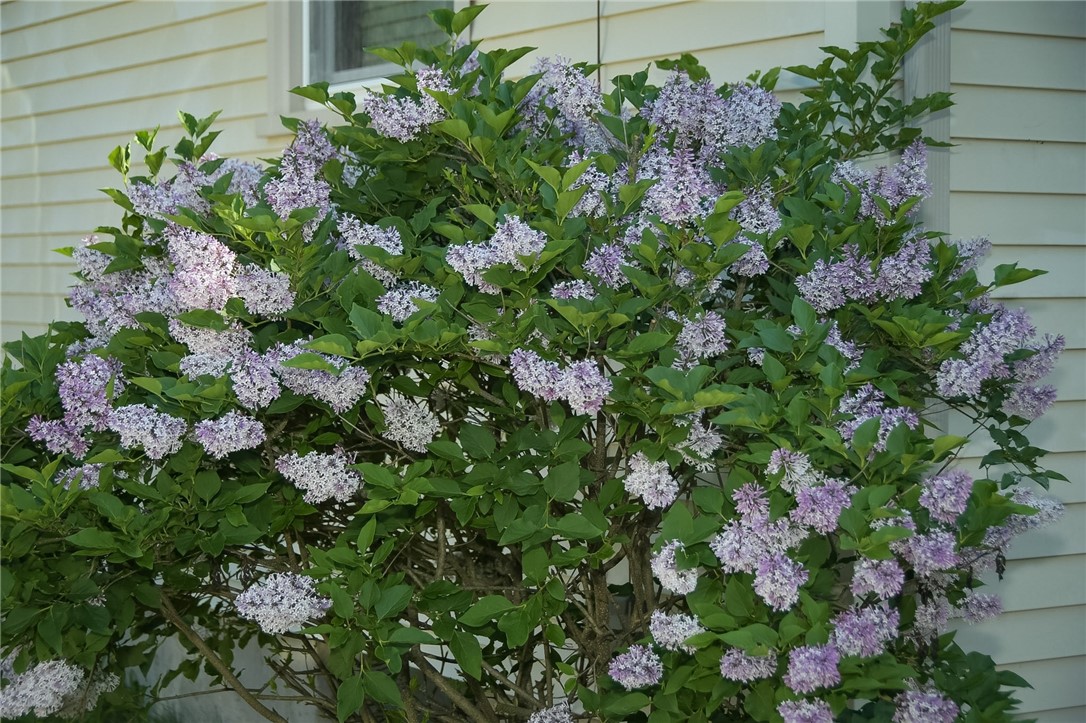 23 Perkins Street Warwick, RI 02886 - Photo 15 of 32