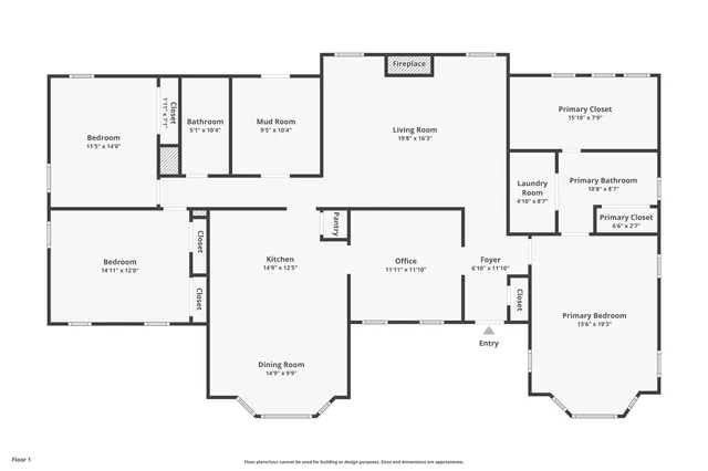 a view of a backyard with plants and large tree