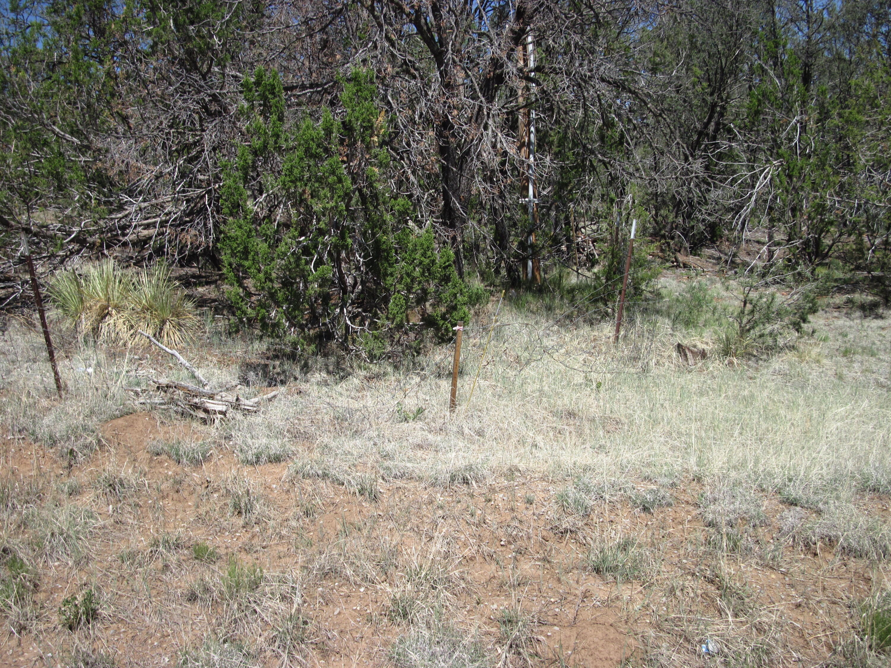 156 Jesse James Road Edgewood, NM 87015 - Photo 10 of 18 Gallery Image 10
