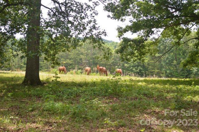 0 Shuping Mill Road, Unit NULL Salisbury, NC 28146 - Photo 1 of 2 a view of yard with green space