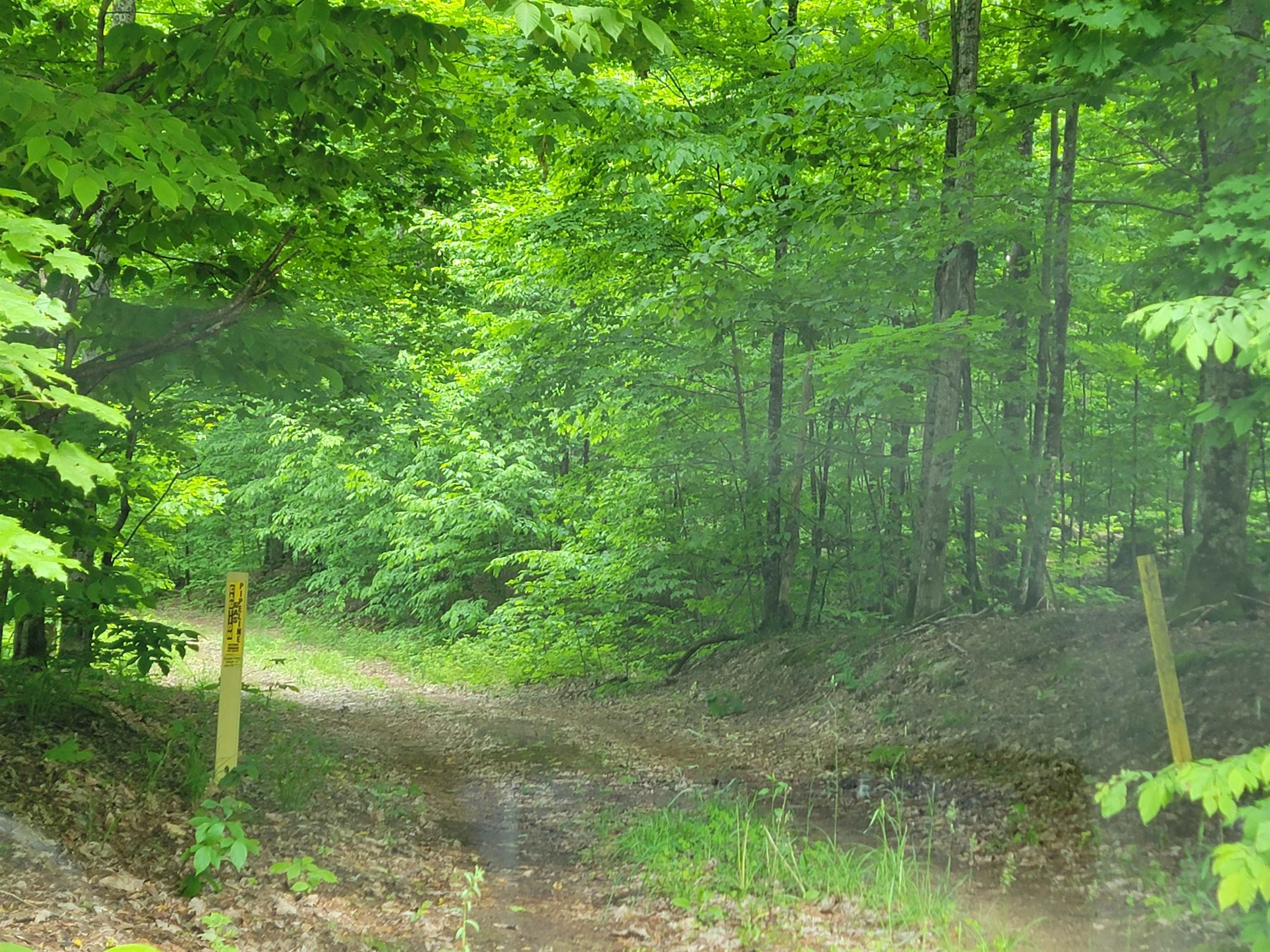 4 Starks Road Mancelona, MI 49659 - Photo 11 of 15 1935188-24c8d9ee-079d-4889-8838-b92a8a97b448.JPG