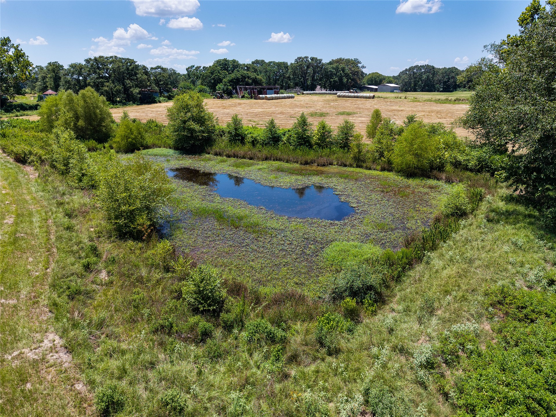 20 Red Hill Road Antlers, OK 74523 - Photo 10 of 17 Natural pond feature with surrounding vegetation and open field areas