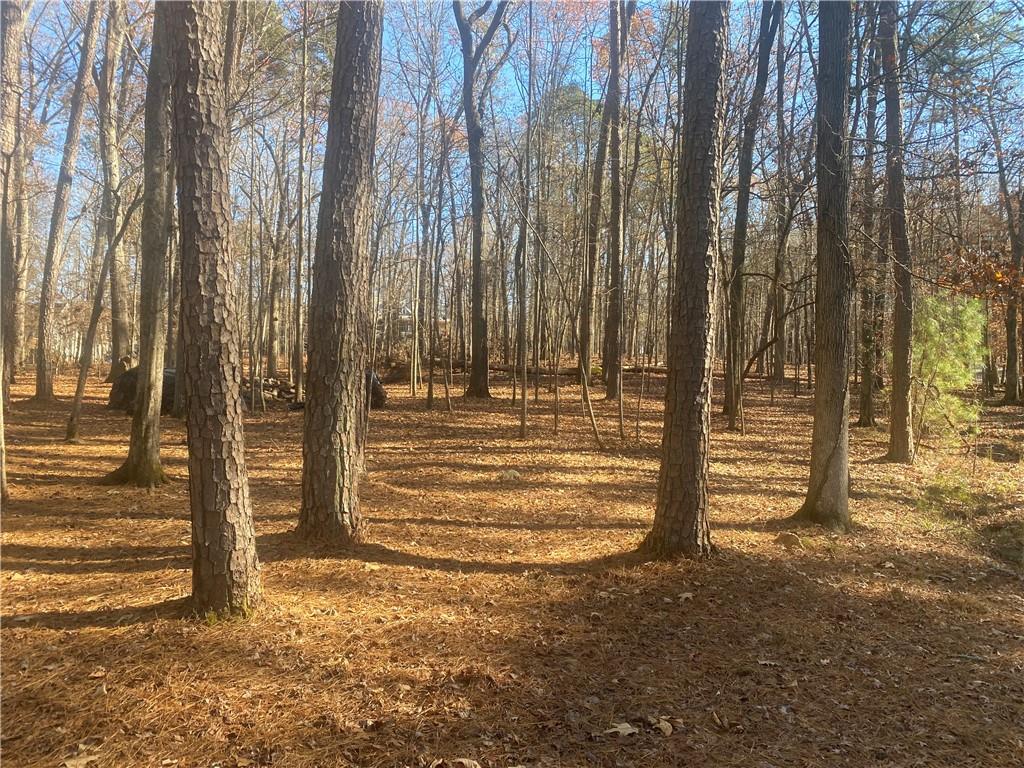 3353 Galts Road Acworth, GA 30102 - Photo 2 of 3 a view of a door with a tree