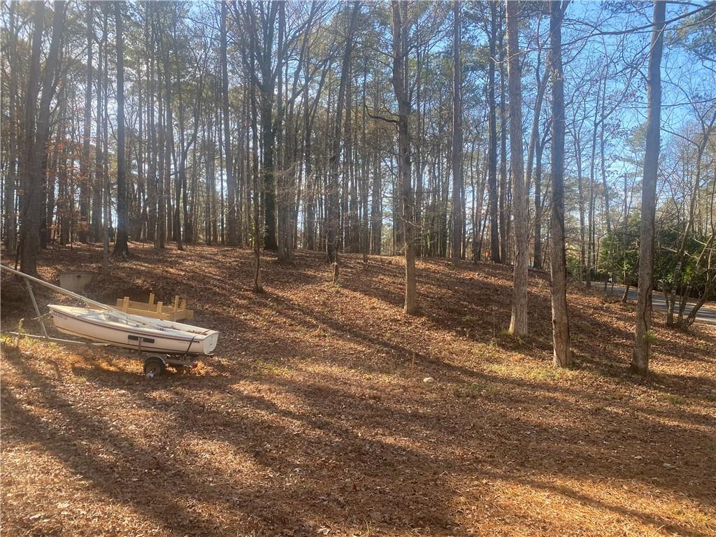 3353 Galts Road Acworth, GA 30102 - Photo 3 of 3 a backyard of a house with lots of green space