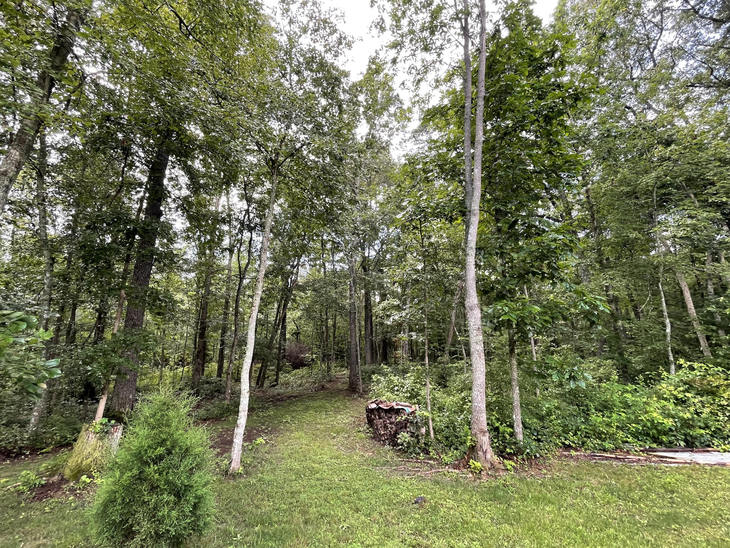 407 Cedar Road Pikeville, TN 37367 - Photo 33 of 40 IMG_6378