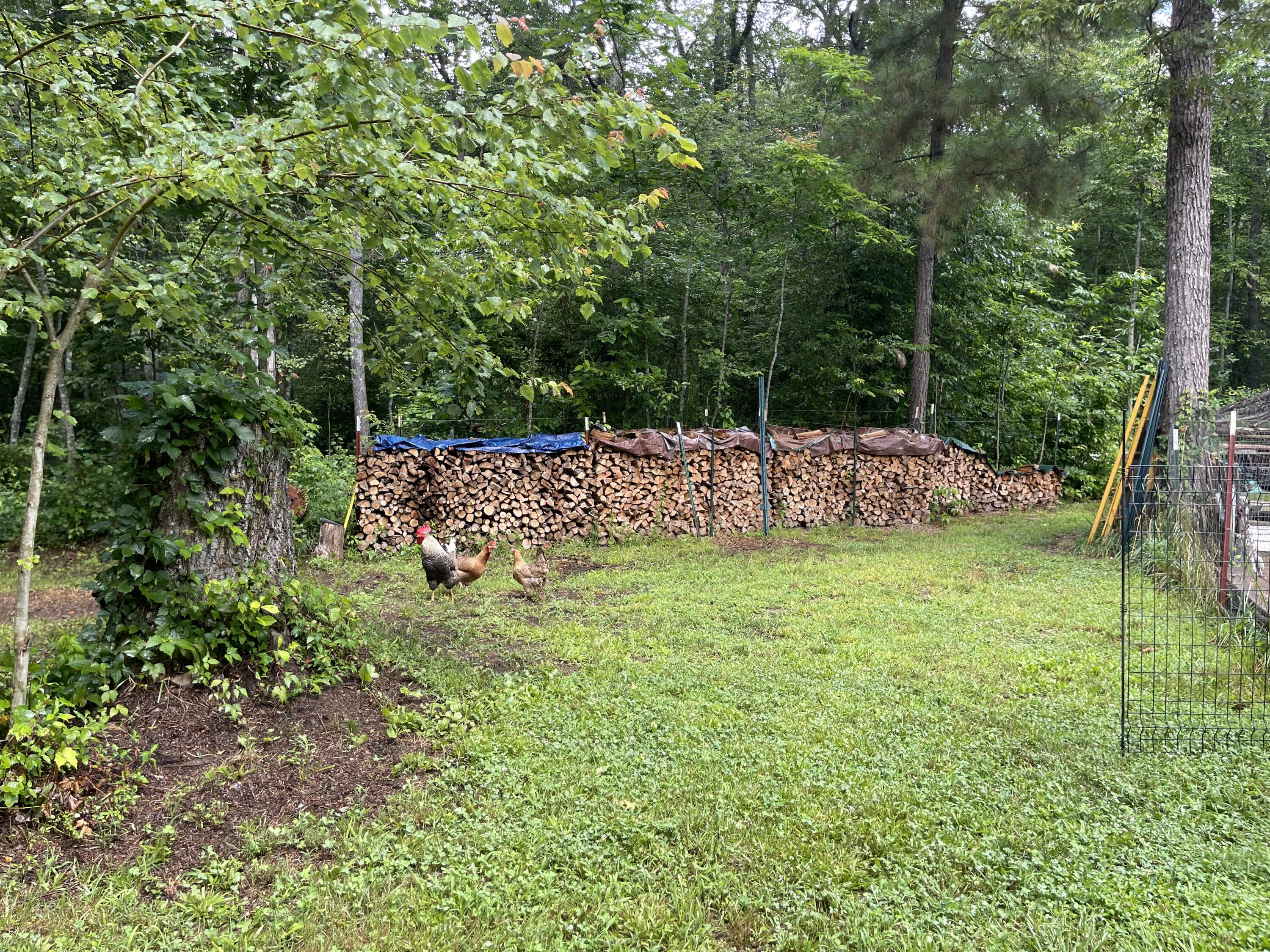 407 Cedar Road Pikeville, TN 37367 - Photo 36 of 40 IMG_6384
