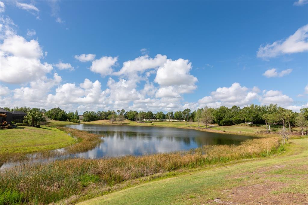 12848 Del Corso Loop Lakewood Ranch, FL 34211 - Photo 43 of 70 Gallery Image 43