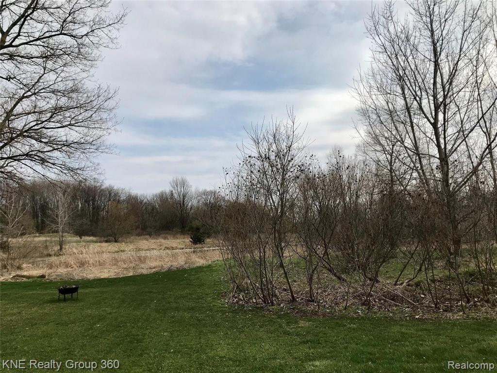 720 Brower Road Fowlerville, MI 48836 - Photo 11 of 37