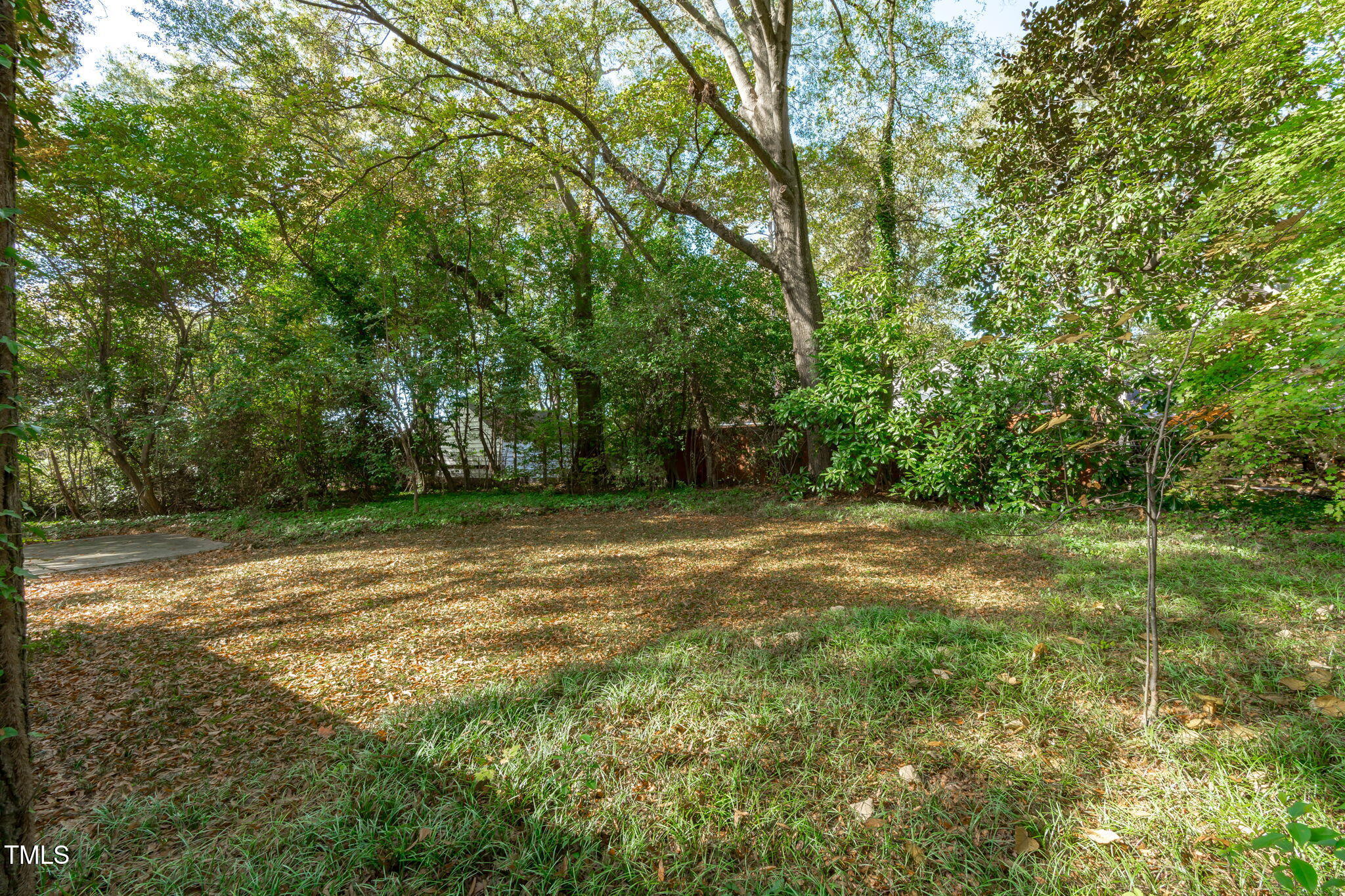 23 Shepherd Street Raleigh, NC 27607 - Photo 35 of 36 a view of a field with trees in front of it