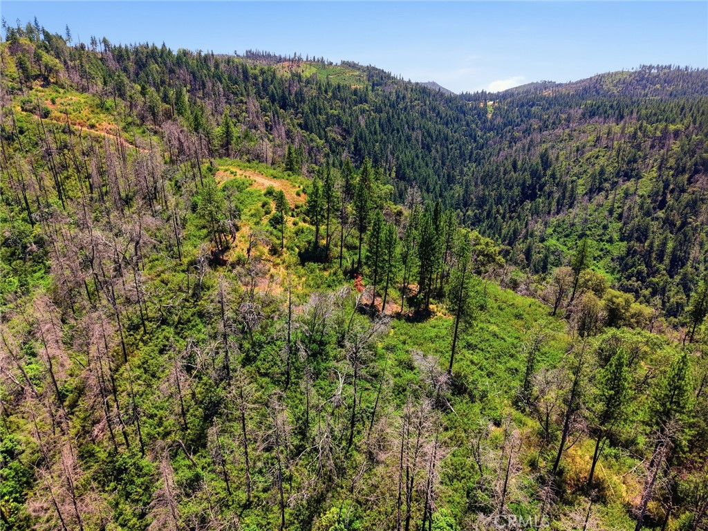 0 Berry Creek Road Oroville, CA 95966 - Photo 16 of 24