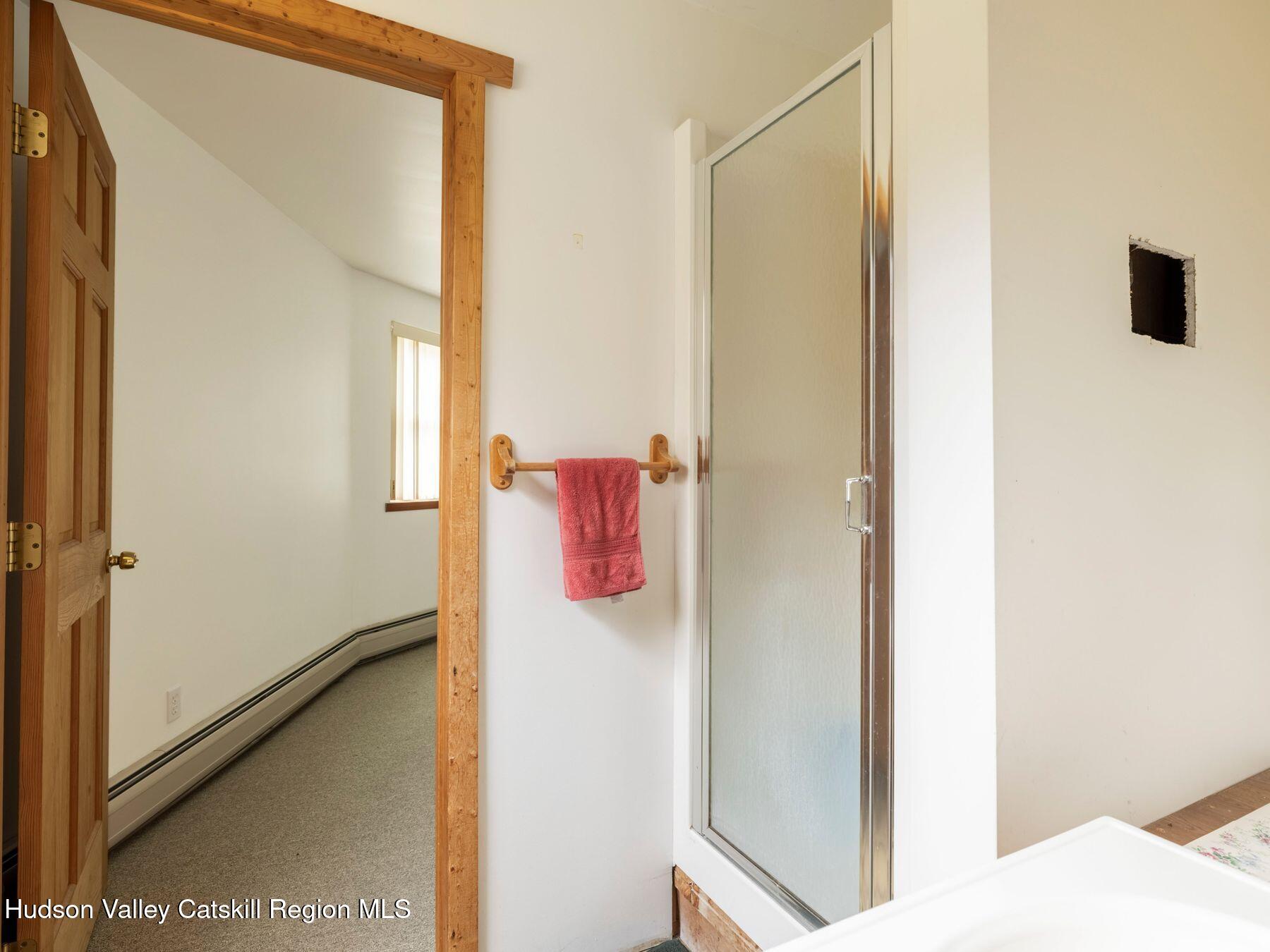 215 Siam Road Windham, NY 12496 - Photo 22 of 65 a bathroom with a shower and a sink