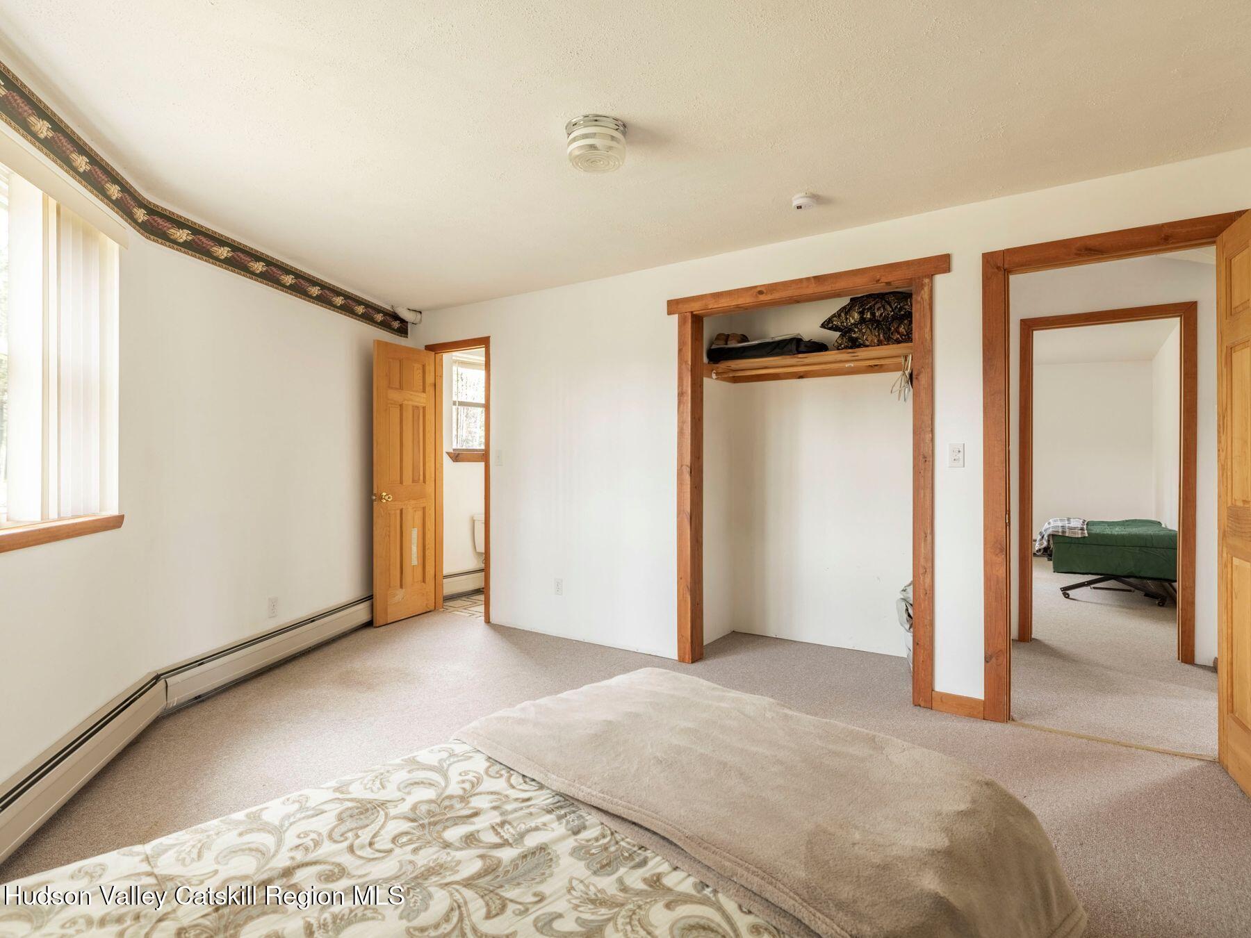 215 Siam Road Windham, NY 12496 - Photo 24 of 65 a view of a big room with closet and windows