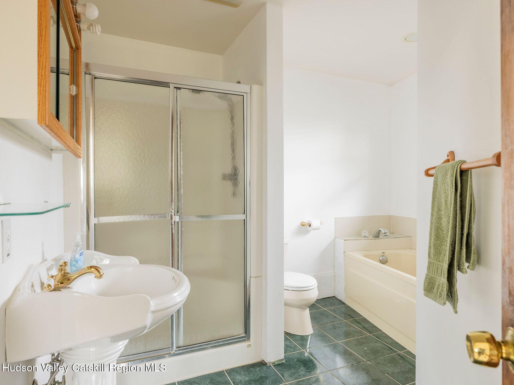 215 Siam Road Windham, NY 12496 - Photo 40 of 65 photo_online_068