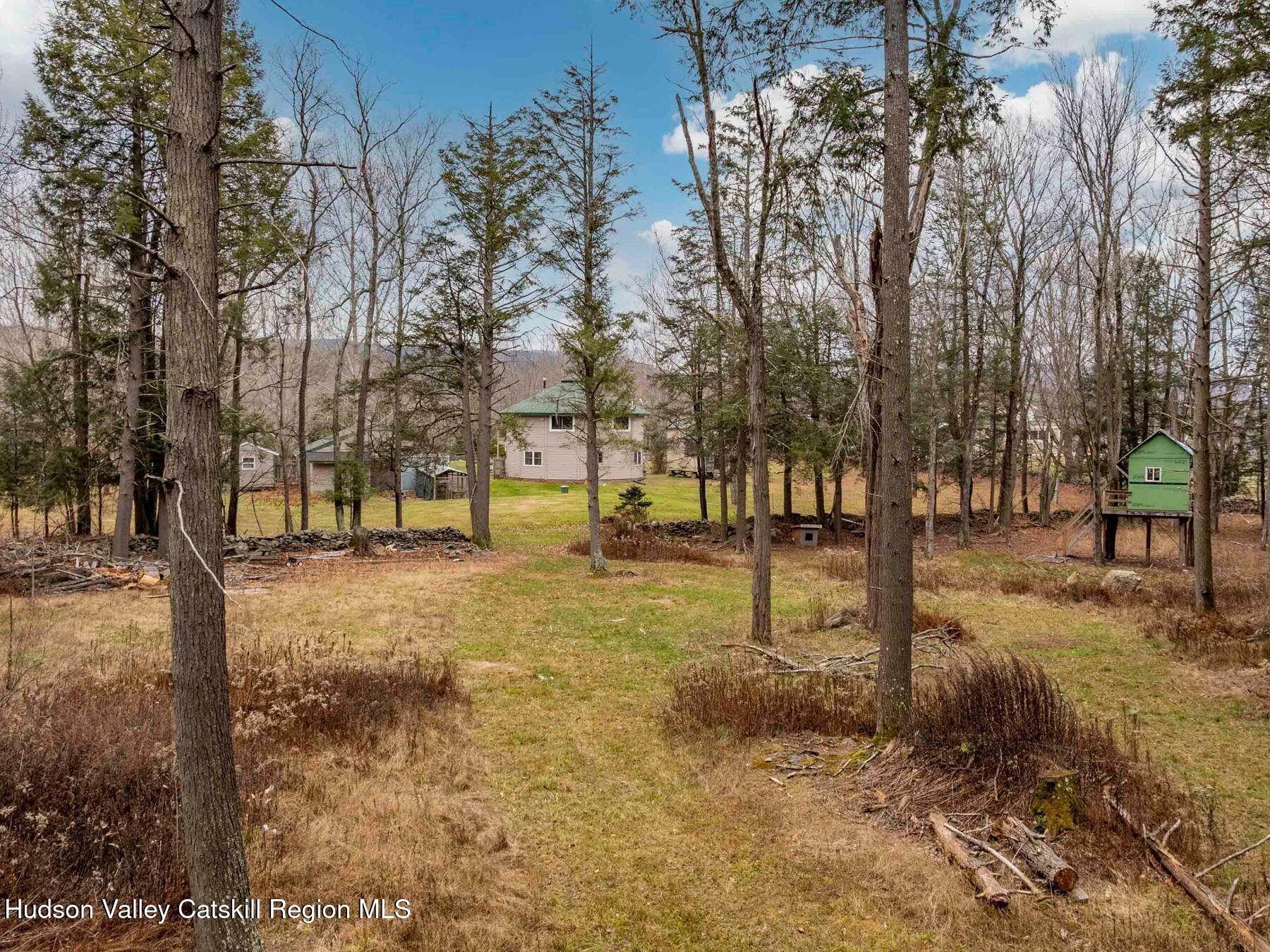215 Siam Road Windham, NY 12496 - Photo 54 of 65 a view of yard with trees
