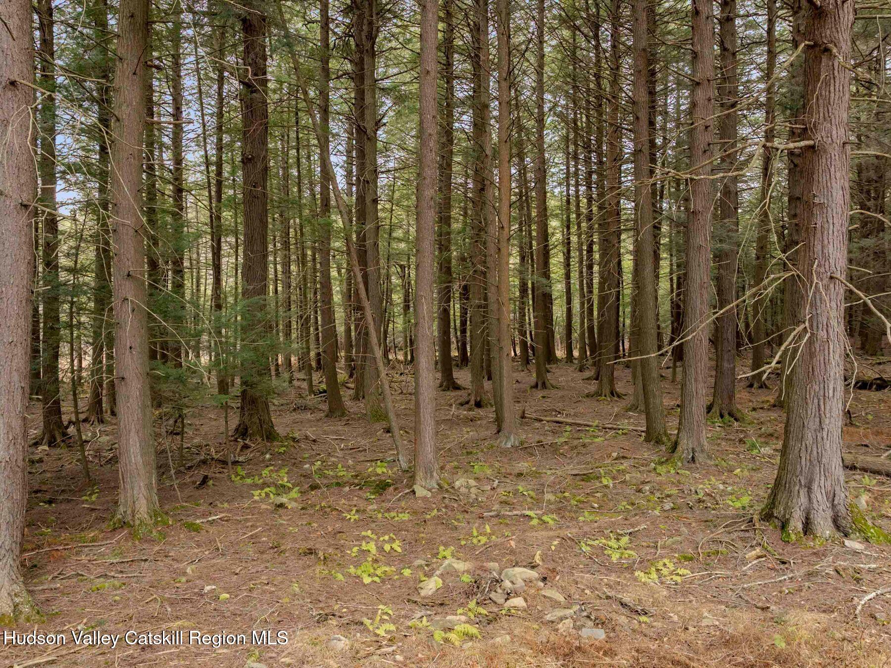 215 Siam Road Windham, NY 12496 - Photo 56 of 65 photo_online_015